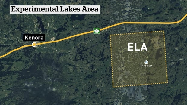 Experimental Lakes Area