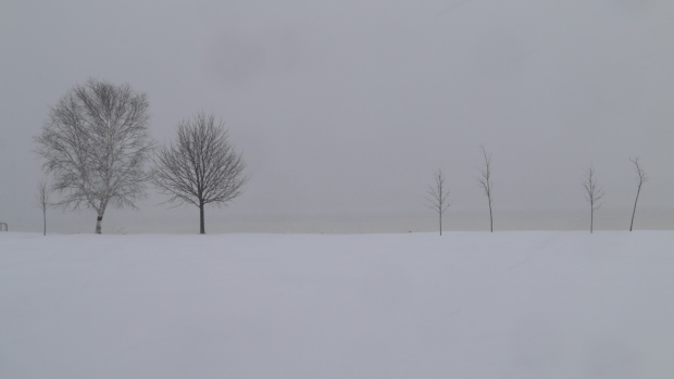 Parts of Cape Breton could see 25 centimetres of snow; Environment Canada has issued a snowfall warning for most of the province Thursday\.
