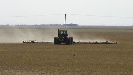 Alberta's best farmland is being paved over in favour of development, a study at the University of Alberta has found. farmland