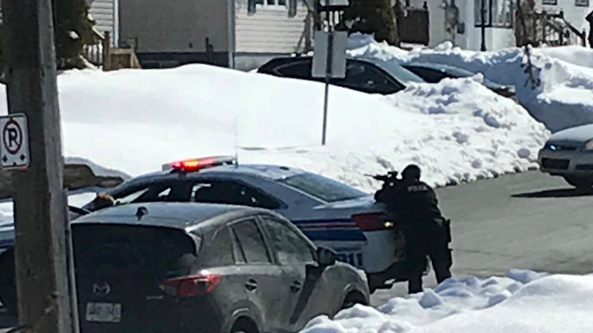 Police have weapons drawn outside Mount Pearl home