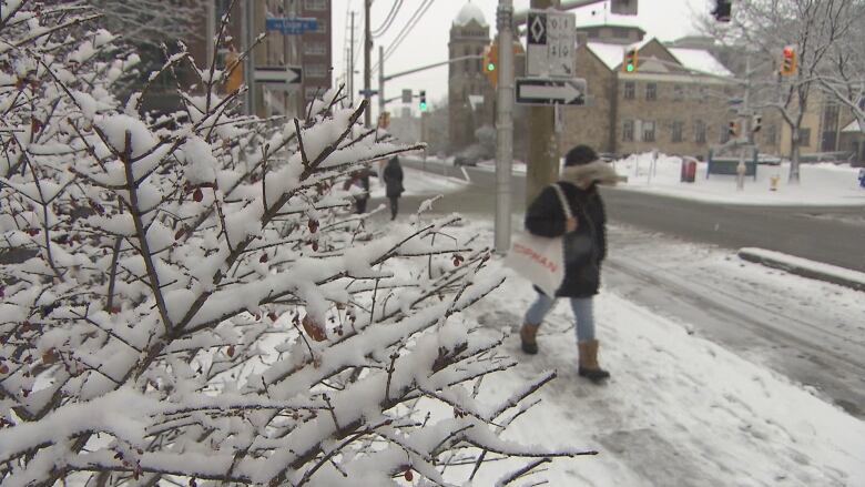 Snow continues all day and night before ending Thursday  CBC News