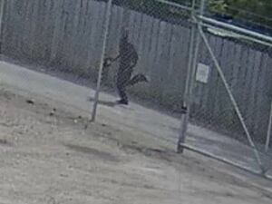 Run