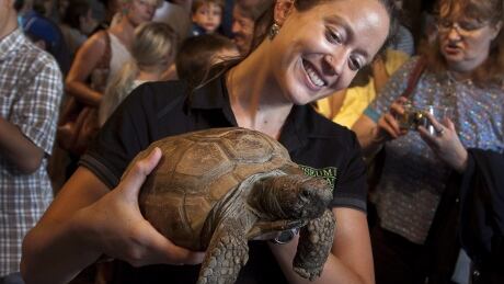 Turtle 90th Birthday 20120812