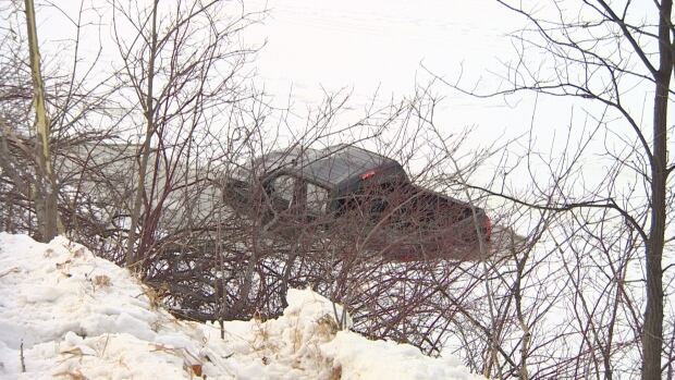 A truck slid into the Assiniboine River Monday.