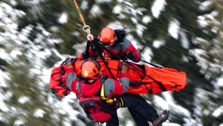 Whistler Search and Rescue responded to 56 calls for help between March 2017 and 2018. WSAR calls increase