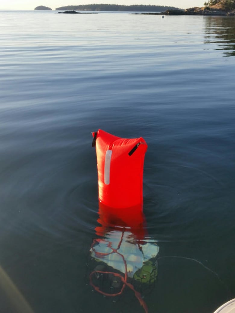 Ropeless traps not easy for crabbers testing them in whale-protection  effort