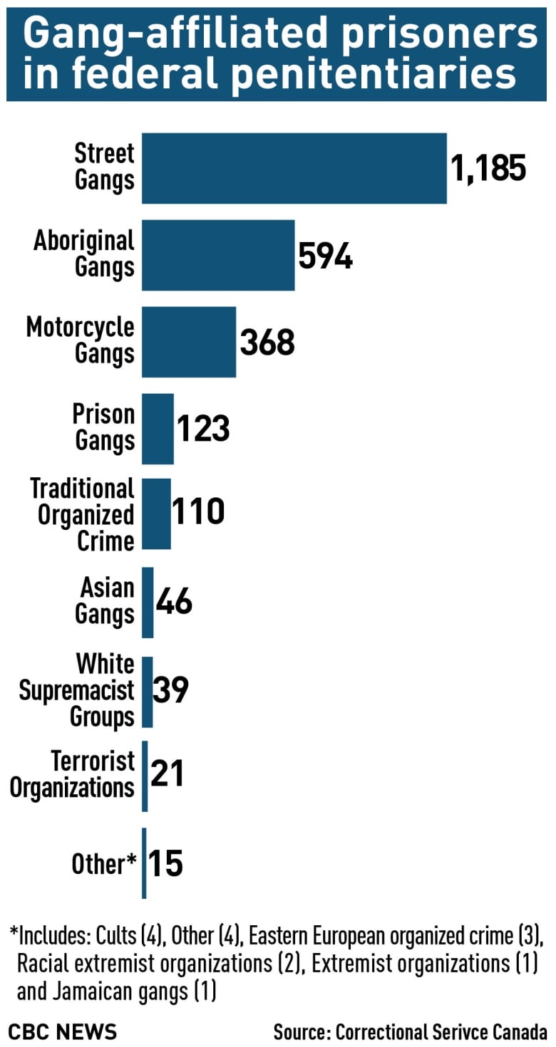 prison gangs