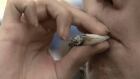 Legalizing marijuana