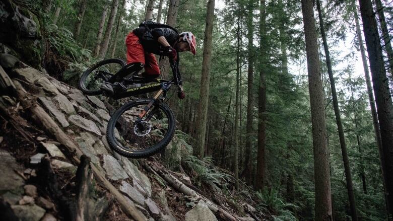 rocky mountain bike trail