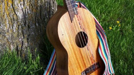 The Mariachi Ghost member Bruce Berven is hoping whoever stole his one-of-a-kind guitar will return it after learning how hard it will be to move along. stolen guitar