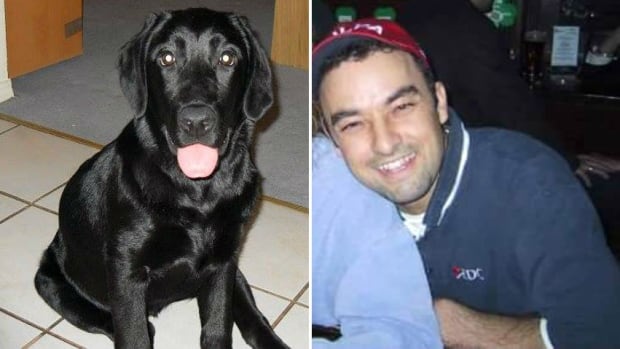 Shamed in his dog's death, Jeremy Quaile took his own life | CBC News