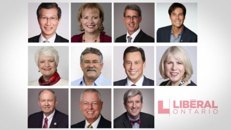 These Ontario Liberals have announced they will not be running in the June 7 provincial election: (Top row, L to R) Michael Chan, Tracy MacCharles, Grant Crack, Eric Hoskins; (Middle row, L to R) Liz Sandals, Dave Levac, Brad Duguid, Deb Matthews; (Bottom row, L to R) Monte Kwinter, Mario Sergio, Glen Murray. 11 Ontario Liberals