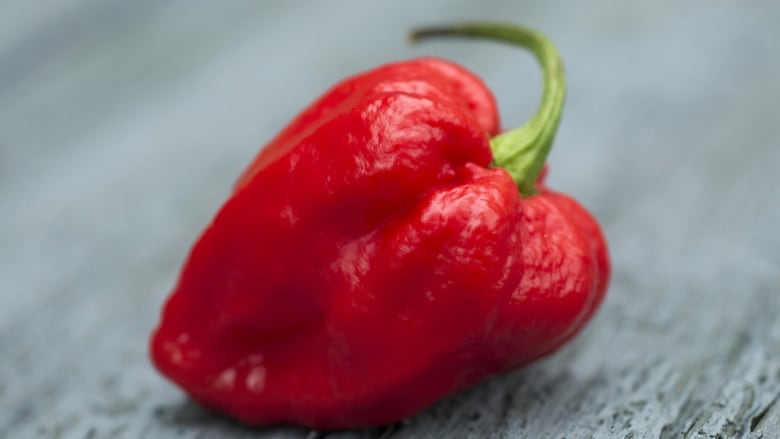 Red hot chilli pepper: Beat the chills with some of the country's fiercest