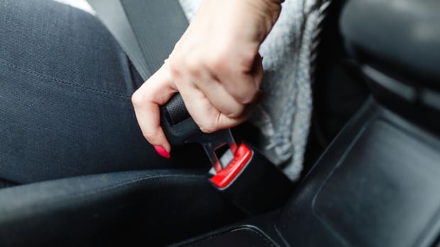 My Car North Bay >> Seat belts on coaches need a closer look, says bus company | CBC News My Car North Bay >> Seat belts on coaches need a closer look, says bus company | CBC News