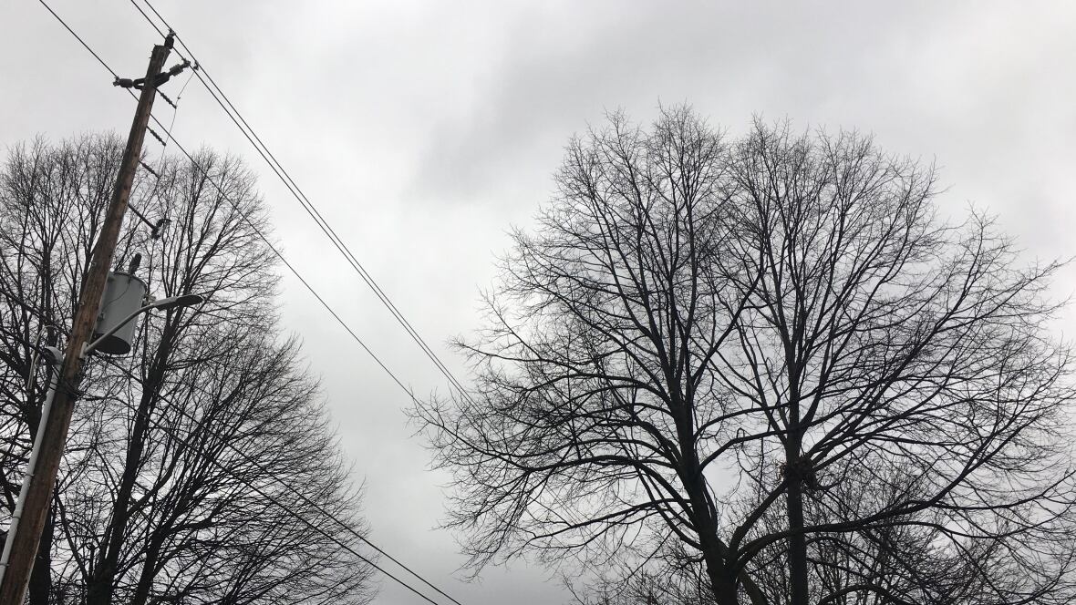 'Potential ice storm' coming to southern Ontario this weekend