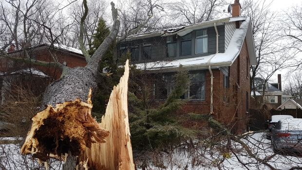 Tens of thousands without power as Ontario's ice storm turns to downpour | CBC News