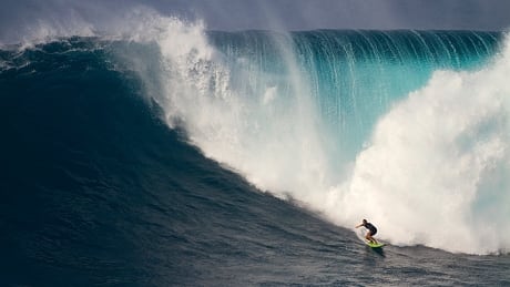 Alms is the two-time defending big wave world champion. A wave is considered big if it's over 6 metre high but can be as high as 15 metres depending on conditions. Paige Alms