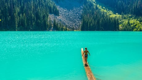 The log that sticks into the second lake is a more-than-popular photo spot. Many attribute the increased traffic at Joffre Lakes to its Instagram fame. joffre lake