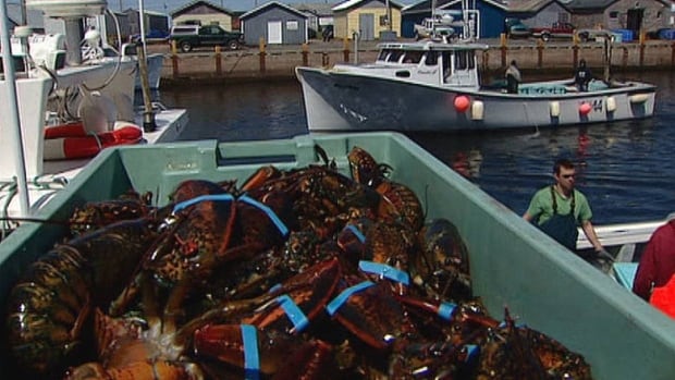 lobster stomper 2023