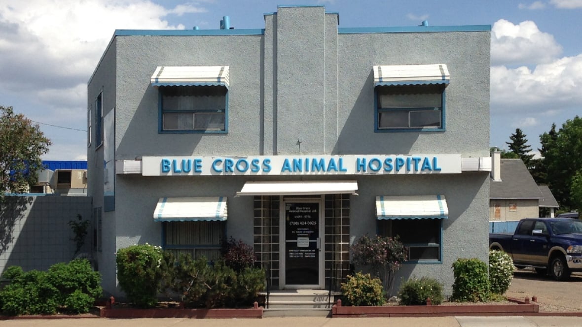 Blue Cross Veterinary Clinic Blue Cross Veterinary Clinic