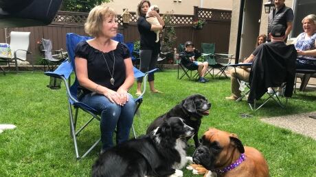 dogwalker dogwalker