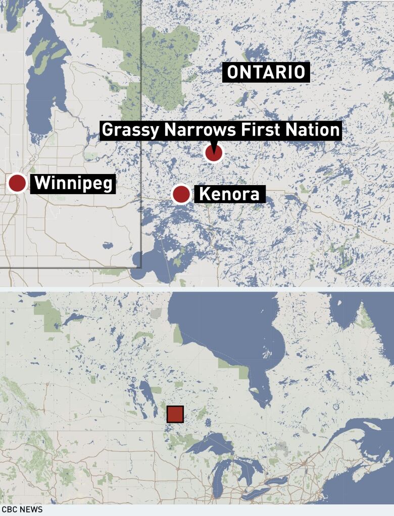 Grassy Narrows First Nation looking at next options to protect land from mining activity in Ontario