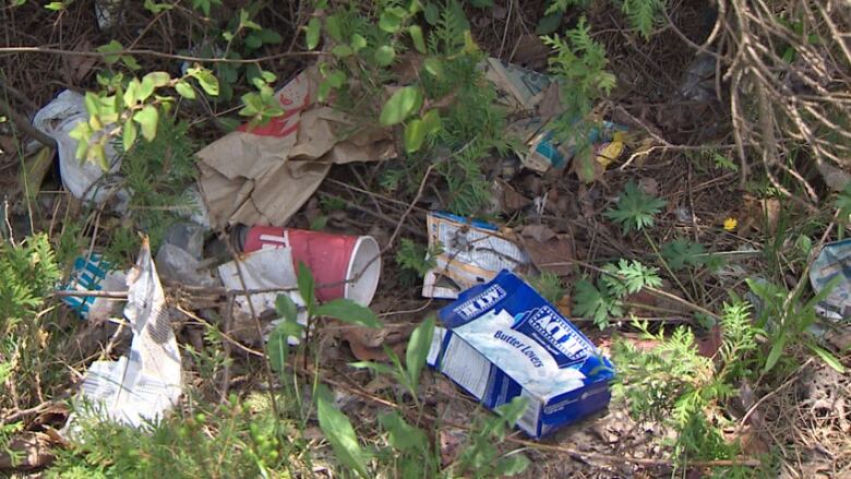 garbage-saint-john-north-end.jpg
