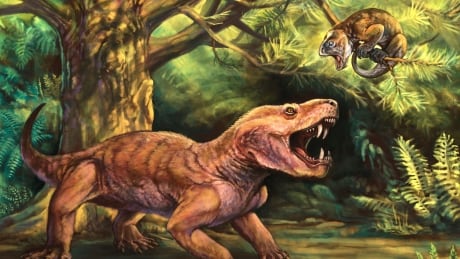 'Monstrous' sabre-toothed fossils from Russia shed new light on mammal history
