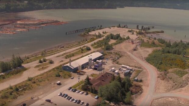 B.C. company says it is sucking carbon from air, making fuel | CBC News