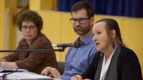 The Minister of Education, Culture, and Employment Caroline Cochrane said the federal government has made many promises, but has not followed up with funding. Caroline Cochrane