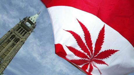 OTTAWA, ON - JUNE 5: A Canadian flag with a marijuana leaf flies during a rally in support of legalizing marijuana on June 5, 2004 alongside Parliament Hill In Ottawa, Canada. The Supreme Court of Canada recently upheld a decision to keep marijuana as a banned substance. (Photo by Donald Weber/Getty Images) 50915790DW017_Rally