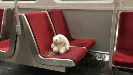 Teddy bear 