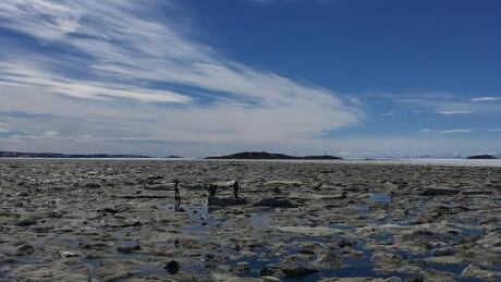Youth on ice floe