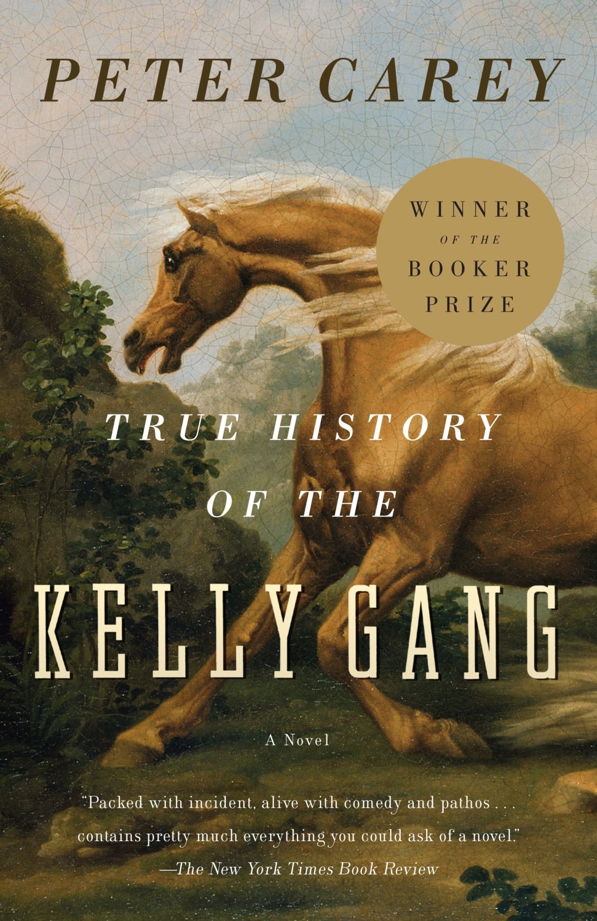 True History of the Kelly Gang CBC Books