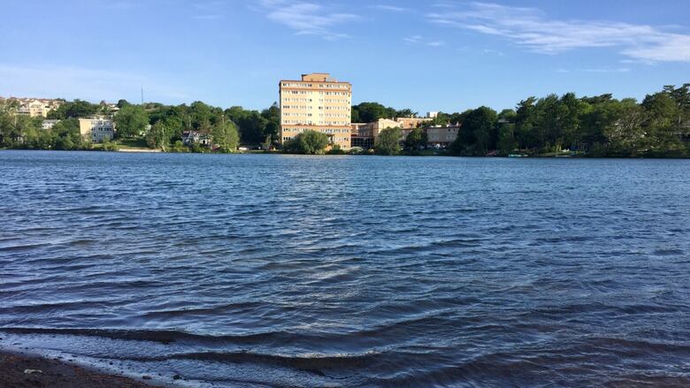 The shoreline of a lake.