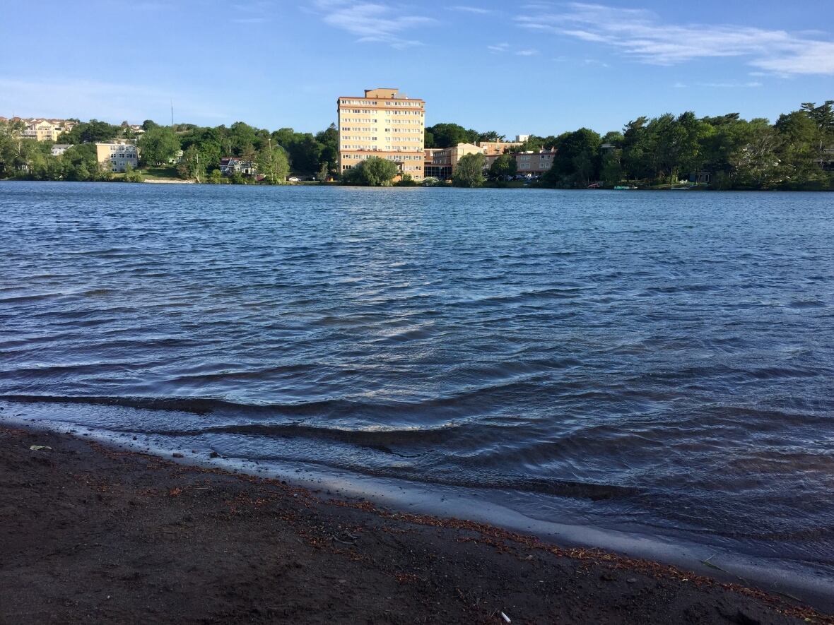 The shoreline of a lake.
