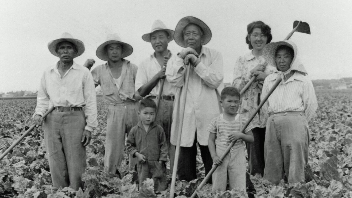 A family with three generations holds hoes and stands in a sugar beet farm.