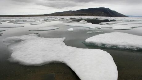 Ice floats in Slidre Fjord outside the Eureka Weather Station on Ellesmere Island, Nunavut, Monday, July 24, 2006. New research finds that hundreds of glaciers in Canada's High Arctic are shrinking and that many are likely fated to disappear. iceberg