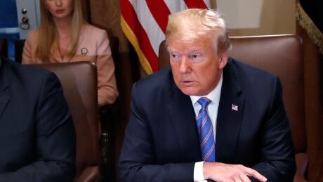 U.S. President Donald Trump participates in a meeting with cabinet members, including Secretary of State Mike Pompeo, in the Cabinet Room of the White House in Washington, U.S., July 18, 2018. REUTERS/Leah Millis - RC1309C49430 USA-TRUMP/