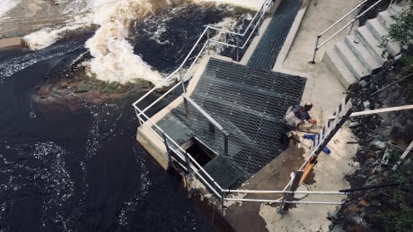 Scientists evaluate salmon stocks on a river in Colinet in July 2018. atlantic salmon stock survey