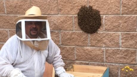 Paul Dunn, ready to save some bees