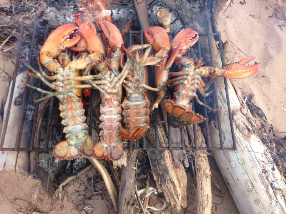 Beyond The Weenie Best Food To Cook Over The Campfire This Summer