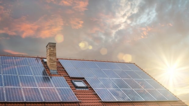 Sask. solar company considers relocating head office to Alberta after gov't revamped net metering program