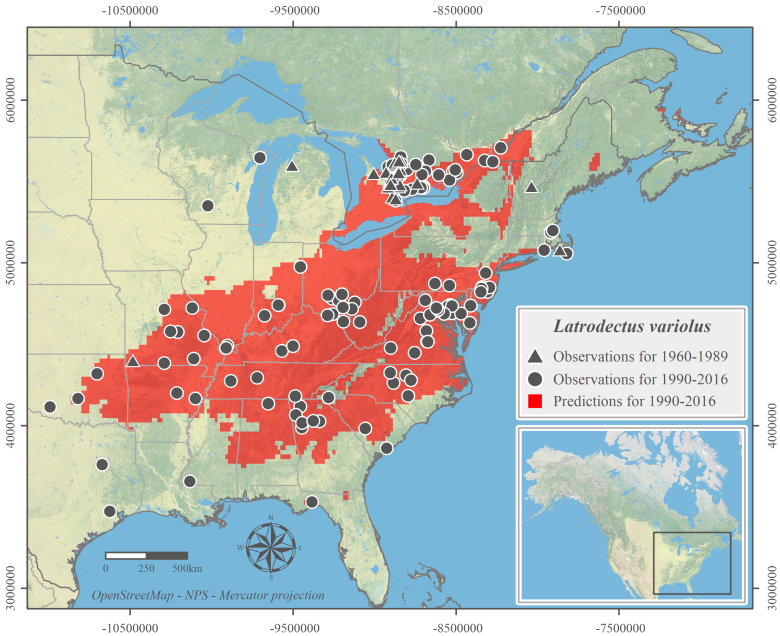 Northern Black Widow Range 