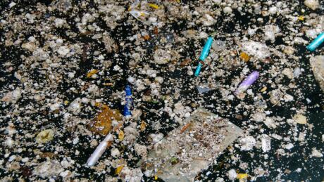 Pollution harbourfront toronto 
