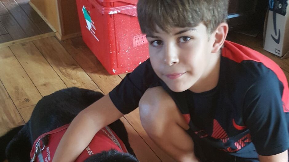 10 Year Old Autistic Boy And His Service Dog Forced To Leave Corner Brook Walmart Says Grandmother Cbc News