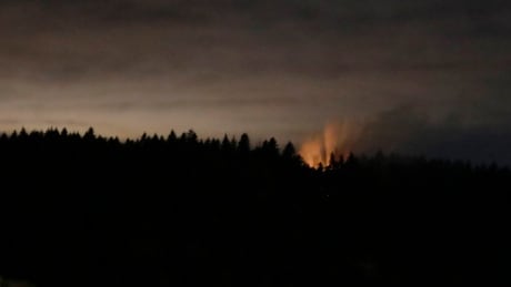 Plane stolen by 'suicidal' employee crashes near Seattle