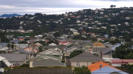 Residential houses in Wellington, New Zealand. NEWZEALAND-ELECTION/TRADE