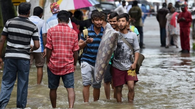 Monsoon rains kill 67 in southern India | CBC News