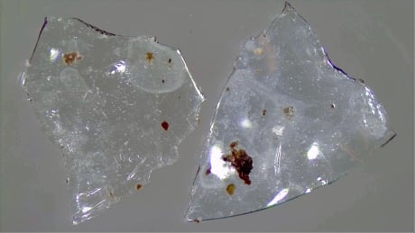 Disposable contact lenses can end up in treated sewage sludge and then waterways, possibly contributing to microplastic pollution. Contact lenses from sewage sludge